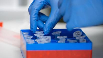 Bild: Christophe Gateau/dpa
Eine Laborantin sortiert Proben.