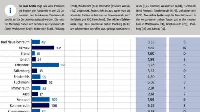 Bild: gld
Das Landratsamt Tirschenreuth veröffentlichte wöchentlich aufsummierte Zahlen der Corona-Infektionen pro Gemeinde.