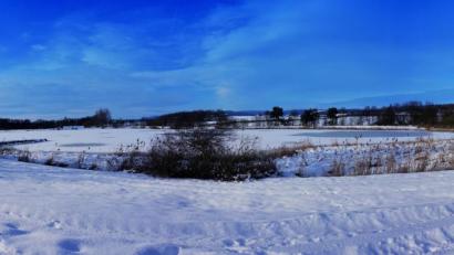 Bild: Roswitha Steiner/exb
An den Eisersdorfer Weihern ist Roswitha Steiner aus Waldeck gerne unterwegs.