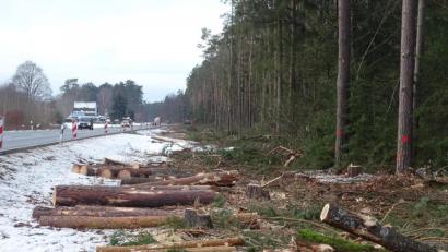Bild: Houschka
Für den Radweg zwischen dem Freihölser Bahnübergang und der Abzweigung einer nach Högling führenden Kreisstraße ist der Startschuss gefallen.