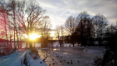 Bild: fpoz
Der Brunner-Weiher im Abendlicht.
