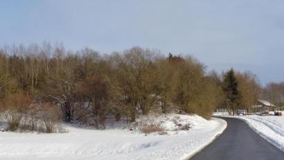 Bild: amö
Neben der Straße nach Windhals, links unter den Bäumen und Büschen, befindet sich die ehemalige Mülldeponie .