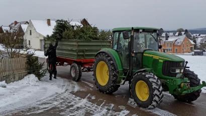 Bild: Florian Plößl/exb
Mit Schwung hinauf auf den Hänger: Die letzten Christbäume sind abgefahren. In Schmidgaden lief die Aktion unter Regie der Jugendfeuerwehr.