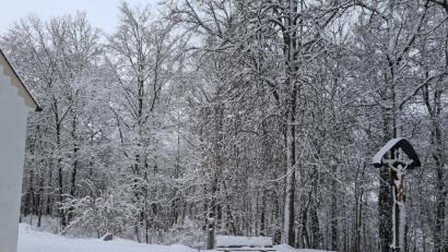 Bild: sne
Das Gelände nördlich der der Kirche St. Anna auf dem Annaberg wäre ein möglicher Standort für den Urnenwaldfriedhof.