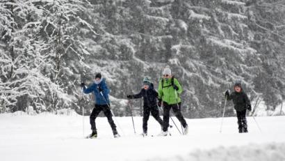 Bild: Gabi Schönberger
Auch Kinder und Jugendliche entdecken mehr und mehr den Langlauf für sich. In Letzau ist die Loipe derzeit täglich gut frequentiert.
