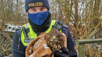 Bild: Polizeipräsidium Oberpfalz
Polizisten der Polizei Neutraubling retteten einen verletzten Mausebussard.