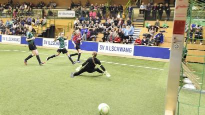 Archivbild: Hubert Ziegler
Der Kunstrasen wird nicht ausgelegt, der SV Illschwang hat sein Hallenmasters in diesem Jahr abgesagt.