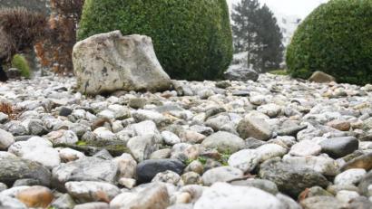 Symbolbild: Gabi Schönberger
Steingärten wie diese dürfen bayerische Kommunen ab 1. Februar nun verbieten. Die Verantwortlichen im Landkreis Neustadt/WN haben dazu unterschiedliche Ansichten.