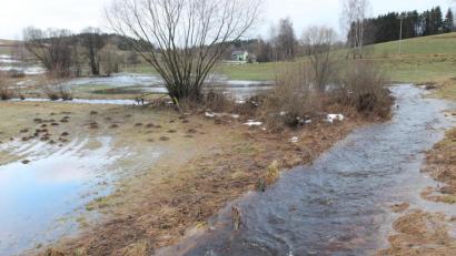 Bild: pi
Die kleine Seenlandschaft in Lösselmühle.