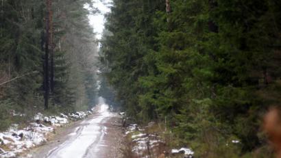 Bild: Gabi Schönberger
Wohin führt der Weg im Westen der Stadt? Hier soll das neue Gewerbegebiet entstehen. Das IHK-Gremium macht sich für das Projekt stark und appelliert an die Bürger das Für und Wider ernsthaft abzuwägen.