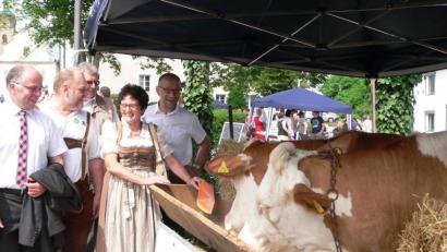 Archivbild: rn
Besondere Aufmerksamkeit genießen beim Eschenbacher Bauernmarkt stets die Kühe von Franz Völkl. Die heuer wieder geplante Großveranstaltung wird wegen der Corona-Pandemie jedoch abgesagt.