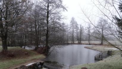 Bild: ak
Gewässer, die Richtung Donau fließen, weisen eine hohe Phosphatbelastung auf. Auf dem Bild ist der Stauweiher der Haidenaab beim Göppmannsbühl zu sehen.
