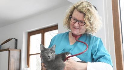 Bild: Gabi Schönberger
Yvonne Federl betreibt eine Kleintierpraxis in Vohenstrauß und hat große Probleme, einen Praxispartner zu finden. Der Tierarztmangel auf dem Land hat für ihre Patienten und deren Herrchen auch Auswirkungen auf die Erreichbarkeit im Notfall.