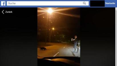 Screenshot: Facebook
Ein junger Mann hilft einem Biber, einen Ast zu tragen.