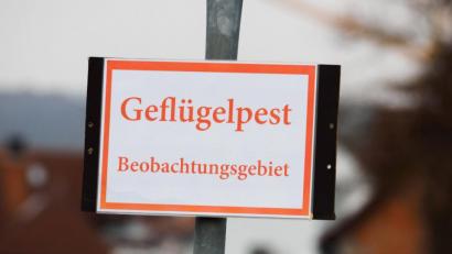 Bild: Nicolas Armer/dpa
Ein Schild mit der Aufschrift Geflügelpest - Beobachtungsgebiet ist zu sehen. Experten befürchten, dass sich die Infektionskrankheit in Bayern noch weiter ausbreitet.
