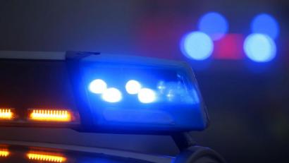 Symbolbild: Karl-Josef Hildenbrand/dpa
Weil sie zwei Hunde sich selbst überlassen hatte, erwartet eine Frau nun eine Anzeige wegen Verstoßes gegen das Tierschutzgesetz.