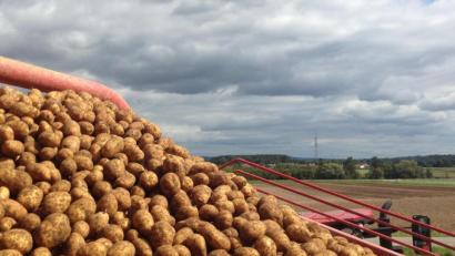 Archivbild: mvs
Auf eine Laufzeit von drei Jahren ist der Liefervertrag zwischen Burgis und der Erzeugergemeinschaft Stulln ausgerichtet.