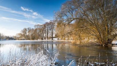 Bild: Matthias Kunz/exb
Die Wondreb in der Nähe des ehemaligen Klosterguts Mitterhof.