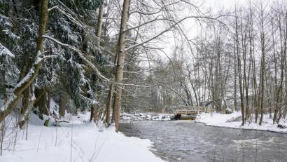 Bild: Tina Breitner/exb
Der Bereich bei der Wondreb-Wehranlage bei Waldsassen war vor einigen Jahren durch das Wasserwirtschaftsamt Weiden erneuert und neu gestaltet worden.