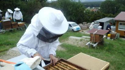 Bild: Alexander Titz/exb
Probe-Imker des Bienenzuchtvereins Sulzbach-Rosenberg bei der Ausbildung am Lehrbienenstand.