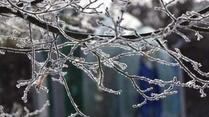 Bild: KuBZ/exb
Die aktuellen Temperaturen sorgen auch für beeindruckende Motive in der Natur.