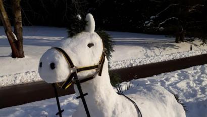 Bild: Robert Meidl/exb
Laura und Marina haben sich mächtig angestrengt und Schneepferd Chicco gebaut.