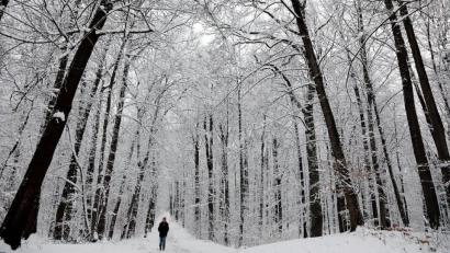 Bild: Wolfgang Steinbacher
Der Winter hat die Oberpfalz im Griff.