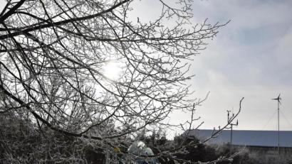 Bild: KuBZ/exb
Winterruhe herrscht zurzeit im Naturerlebnisgarten auf dem Gelände des Klosters Waldsassen. Die CSU-Landtagsfraktion hat die institutionelle Förderung der Stiftung Kultur- und Begegnungszentrum Abtei Waldsassen dieses Jahr um 37.000 Euro aufgestockt, damit der durch Corona beeinträchtigte Betrieb fortgesetzt werden kann.