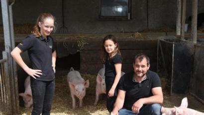 Bild: Michael Beer/exb
Die Schweine haben auf Michael Beers Hof Platz und frische Luft.