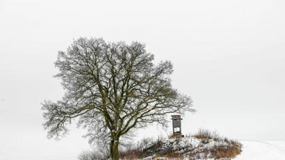 Bild: sds
Spaziergänge tun der Gesundheit gut. Zudem lassen sich dabei tolle Fotomotive finden.