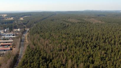 Archivbild: Michael Ascherl 
Der Wald rechts der B470 wird nicht für ein Gewerbegebiet Weiden West IV gerodet. Beim Bürgerentscheid sprach sich eine Mehrheit der Weidener für den Walderhalt aus. Für die Stadt geht nun die Suche nach geeigneten Gewerbeflächen weiter.