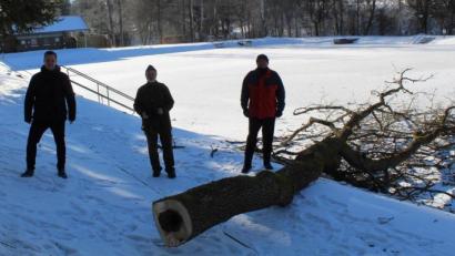 Bild: soj
Thomas Pelzer (von links), Bürgermeister Wolfgang Söllner, Bernd Würstl (Vorsitzender Förderverein) und Thomas Graf (stellvertretender Vorsitzender Förderverein) begutachteten die Arbeiten im Freibad Selingau. Da der Boden gefroren war, entstanden bei der Baumfällaktion keine Schäden am Freigelände.