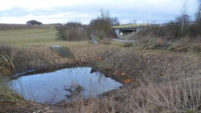 Bild: dob
Umweltfrevel oder notwendige Maßnahme? Naturverbundene Menschen bedauern den Kahlschlag. Die Sträucher waren Heimat für viele Singvögel. Verantwortliche begründen die Maßnahme mit Sicherheitsregularien.