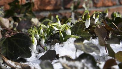 Bild: Petra Hartl
Ein kräftiges Hoch kommt in der Oberpfalz an, dem Schnee geht es an den weißen Kragen.