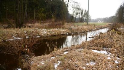 Bild: bey
Links neben dem Busch am Ufer befindet sich der Eichpfahl. Es ist die Stelle, an der das Altwasser des Zottbaches am nähesten vorbeifließt. Im Altwasser soll das Stauwehr errichtet werden, um das Wasser dann in den Triebswerkskanal einzuleiten. In der Berglerschleif (im Hintergrund) wird das Wasser zur Stromerzeugung mittels Turbine genutzt.