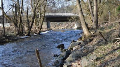 Bild: Benkhardt
Die SPD möchte die Fichtelnaab im Stadtgebiet über einen Uferpfad erlebbarer machen. Das Bild zeigt den Fluss bei der Brücke auf Höhe der Bahnhofstraße.