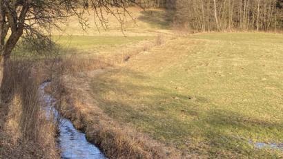 Bild: Josef Glas
Der "Mühlbach" in der Tännesberger Flur.