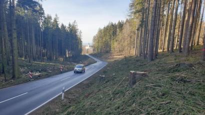 Bild: ws
Im August soll die Erneuerung der Staatsstraße zwischen der Wenderer Höhe und Schwarzenbach starten. Im Waldstück vor Schwarzenbach wurden die Baumfällarbeiten neben der Straße bereits durchgeführt. In dem Abschnitt werden der Kurvenverlauf und die Höhenlage der Straße verbessert. Aktuell bietet die Schneise einen interessanten Blick auf die Schwarzenbacher Kirche.