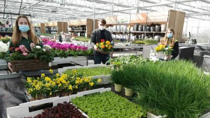 Bild: Portner
Blumenkörbe, Salatpflanzen und Schnittlauch: Bei der Gärtnerei Baumer in Oberviechtach räumt Martin Urban mit seinen Kolleginnen gerade die Pflanztische ein.