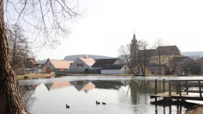 Bild: Mardanow
Hübsch anzuschauen ist er schon, der Marktweiher in Oberviechtach. Schöner fänden ihn die Angler noch, würde sich dort nicht auch der Fischotter pudelwohl fühlen und eine Menge Schaden anrichten.