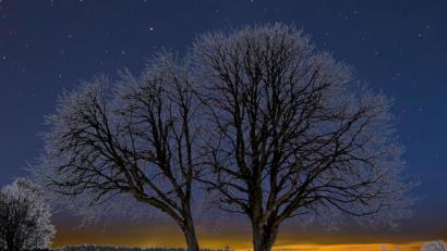 Bild: Ludwig Brunner/exb
Das Stopfer-Marterl bei Gössenreuth fotografiert und bearbeitet vom Grafenwöhrer Ludwig Brunner