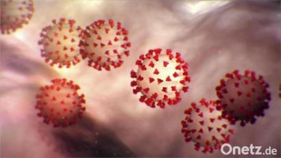 Bild: Center for Disease Control/Planet Pix via ZUMA Wire/dpa
Auch am Wochenende gibt es in der Region weitere Neuinfizierte mit dem Coronavirus.
