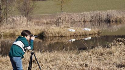 Bild: Rainer Kohl/exb
Und klick! Ob die Schwäne für Ferdinand Kohl wohl extra posieren?