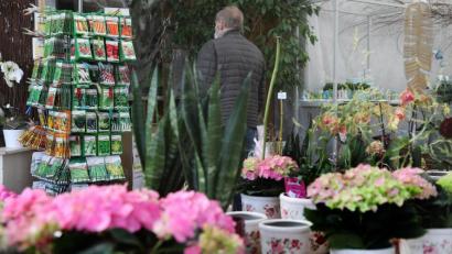 Bild: Wolfgang Steinbacher
Auch Gärtnereien dürfen seit 1. März wieder öffnen. Anders als beim Friseur und in Nagelstudios werden hier auch Kunden ohne Termin bedient.