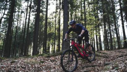 Bild: Max Solfrank
Bald könnten eventuell Mountainbiker in einem geplanten Trail-Park über den Fahrenberg sausen.