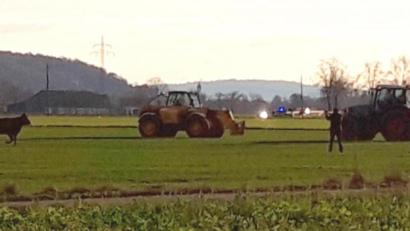 Bild: mab
Die Bauern umstellten die Kuh mit ihren Traktoren. Am Ende musste auf das Tier geschossen werden.