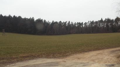 Bild: e
Die Bauleitplanung für das Baugebiet Lochnerstraße-West in Theuern ist auf den Weg gebracht. Elf Parzellen sollen dort entstehen, der weitaus größte Teil der Fläche bleibt jedoch erhalten.