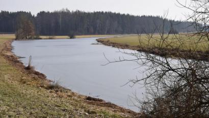 Bild: bö
Der Fürstengraben mündet in den Fürstenweiher (Bild). Ab dann heißt das Gewässer Elsenbach, der auf der gesamten Länge bis zur Einmündung in die Vils bei Wolfsbach neu gefasst werden soll.