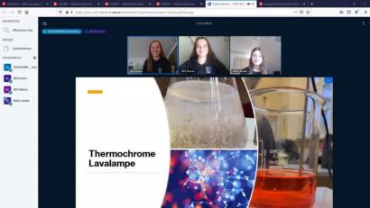 Screenshot: Peter Ringeisen/exb
Das DJDS-Team "Lavalampe" bei der Online-Preisverteilung.