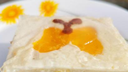 Bild: Heike Heindl/exb
Schnell gemacht ist der Quarkkuchen vom Blech. Wer mag, kann aus den Mandarinen kleine Schmetterlinge dekorieren und mit flüssiger Schokolade Fühler aufmalen.